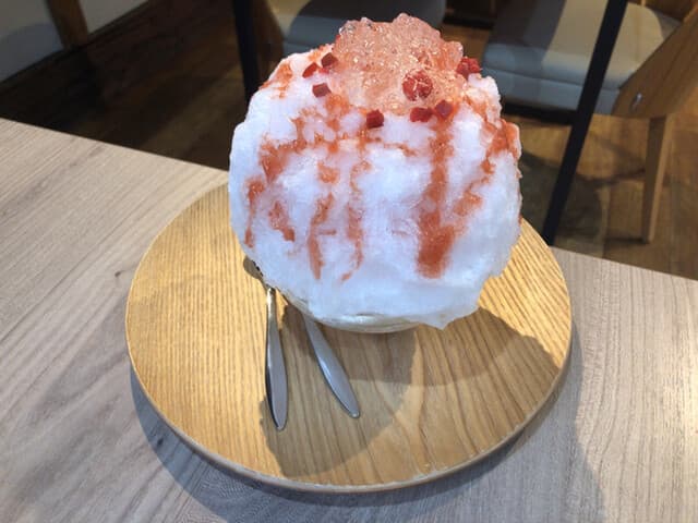 梛の木 の写真 16