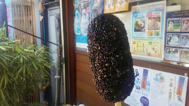 たまる タマル の写真 10