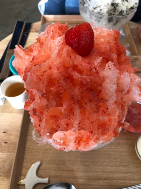 こぶたとカモメ の写真 9