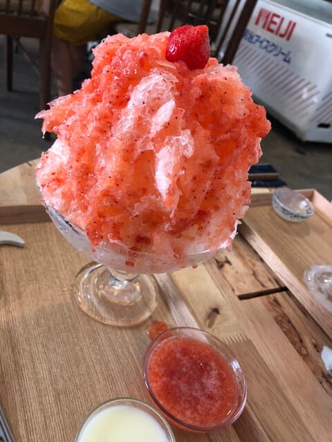 こぶたとカモメ の写真 11
