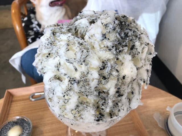 こぶたとカモメ の写真 12