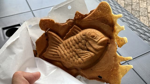 メデタイヤ の写真 7