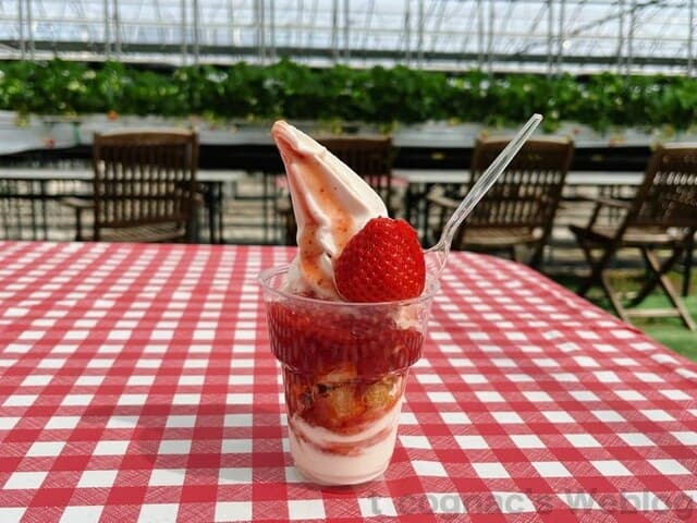 いちご屋 スカイファーム の写真 18