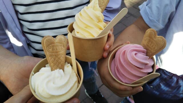 茶の蔵 きむら園