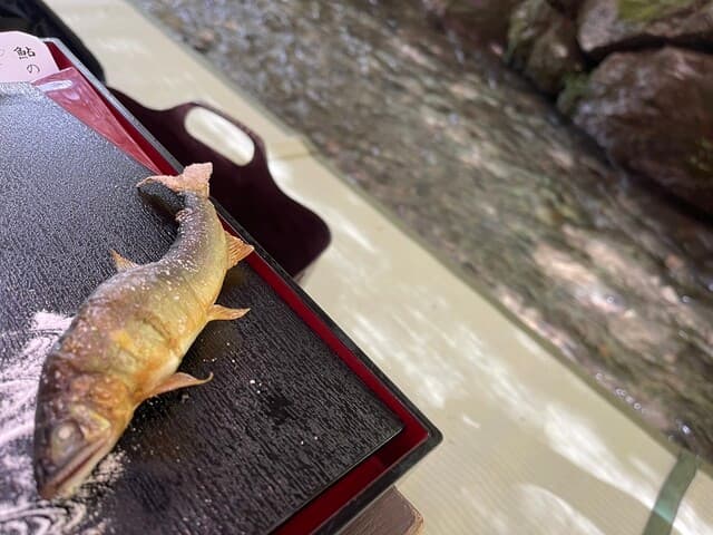 貴船 水源の森 天山 の写真 3