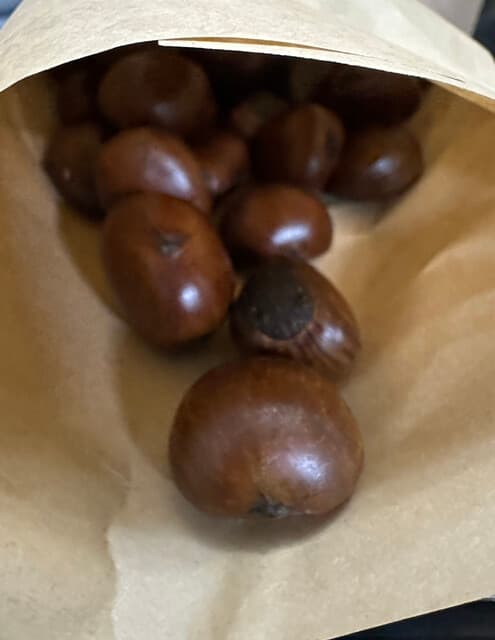 今井総本家 栗子茶屋 の写真 7