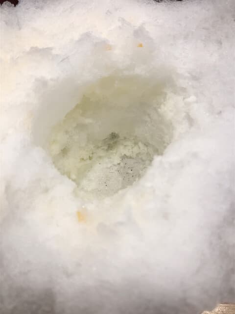 氷屋 金木犀 の写真 12
