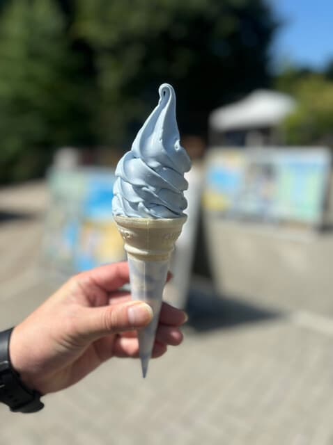 SKYWALK SOFTCREAM の写真 9