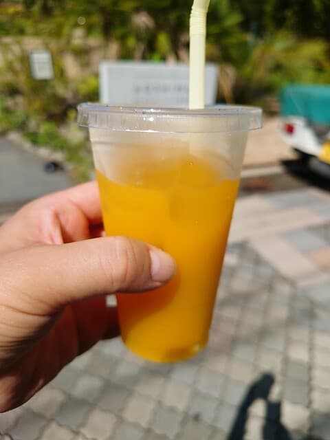 河野商店 の写真 10