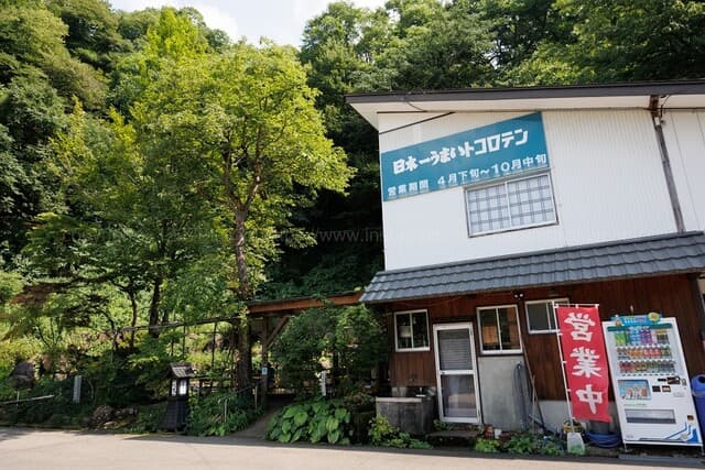 日本一うまいところてん の写真 13