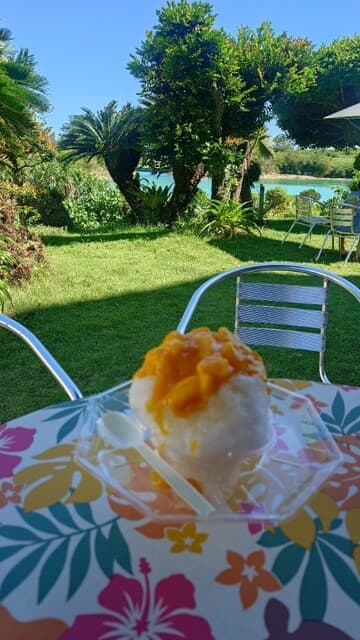 氷家 カフェ イリエ の写真 15