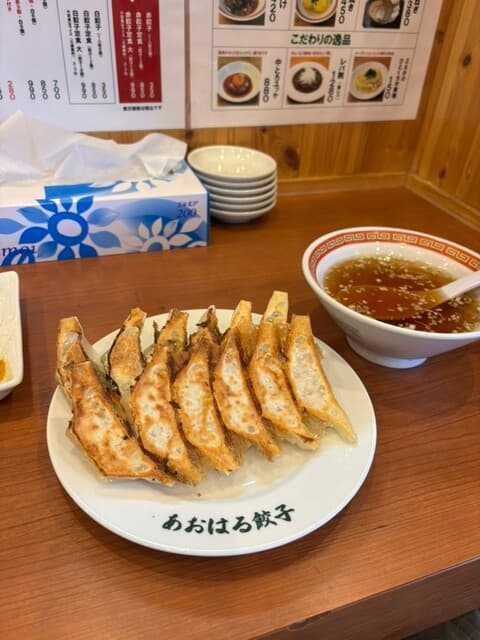 あおはる餃子 の写真 18
