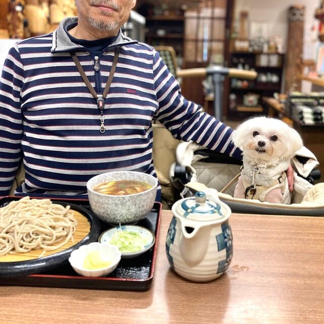 木もれびの里 箏路
