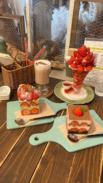 花カフェ コキア