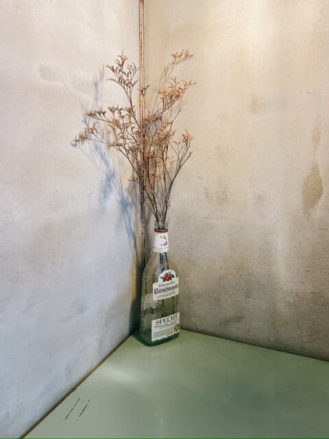 256nicom の写真 15