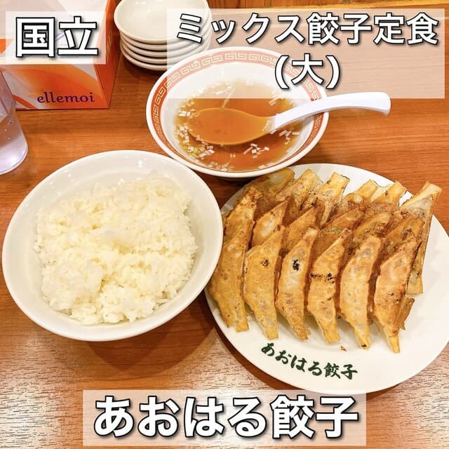 あおはる餃子